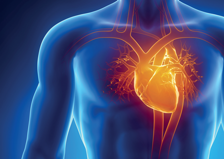 Ask the Expert: Heart palpitations