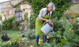 Top tips to protect your back when gardening