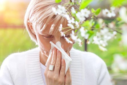 Breathe easy during hay fever season