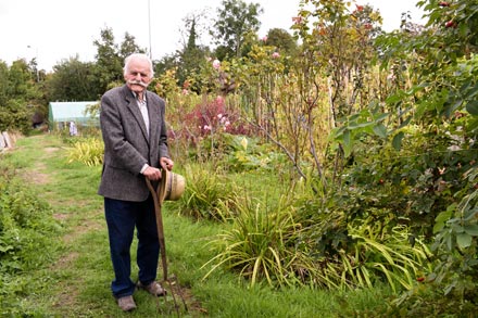 Growing stronger - John back on the allotment after pioneering hip surgery