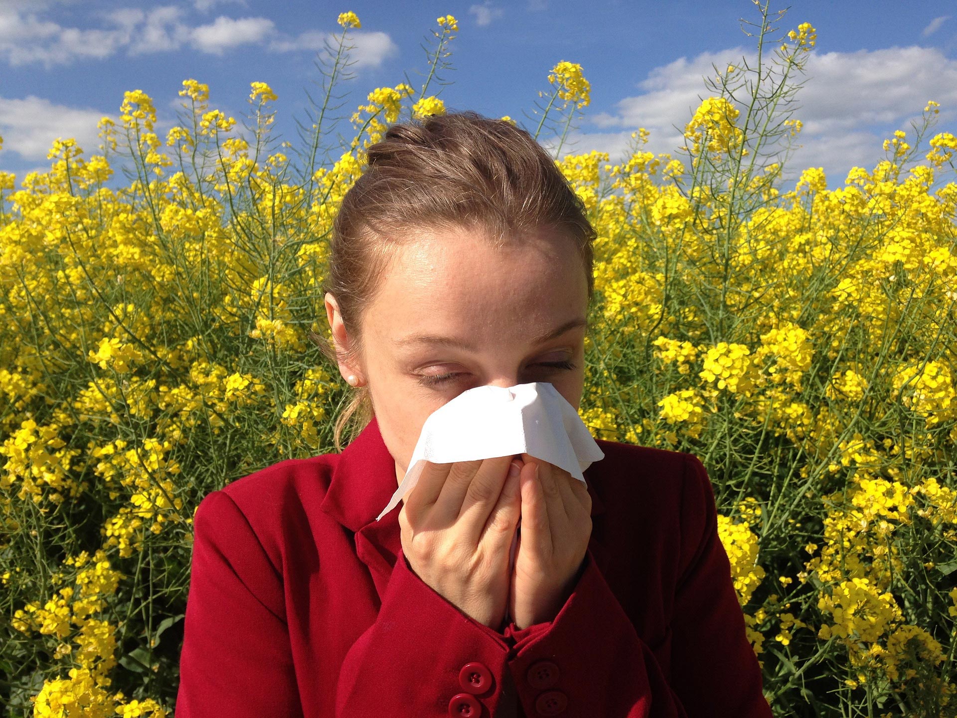 The 'hay fever’ season is nearly with us!