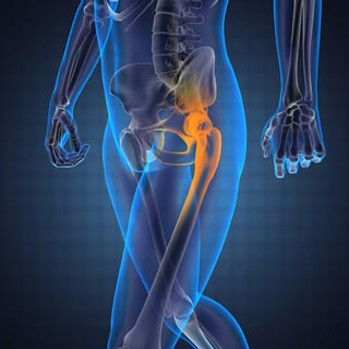 Anterior hip information evening