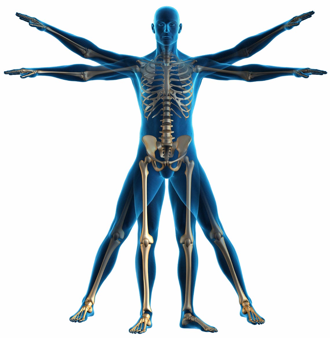 Orthopaedic information event