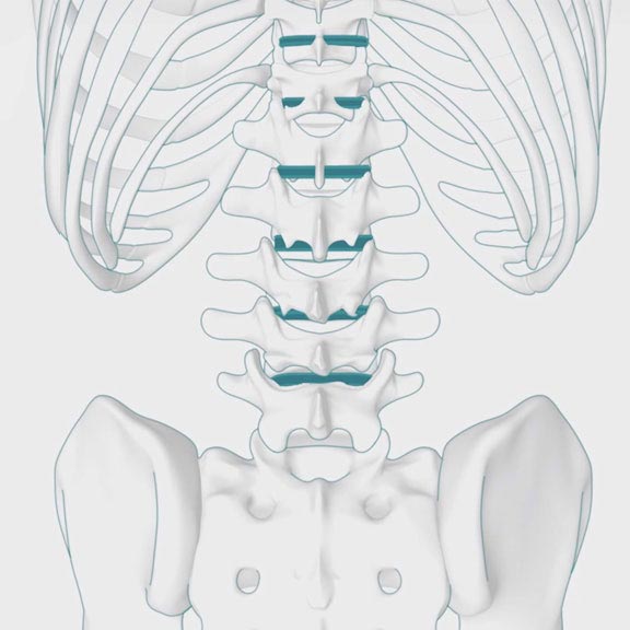 Spine & Back Surgery | Spire Cambridge Lea Hospital