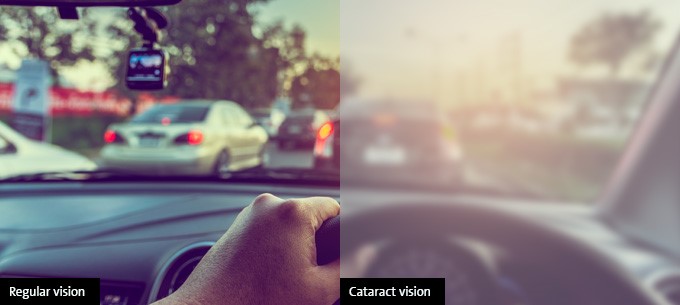 An image simulating someone driving with cataracts