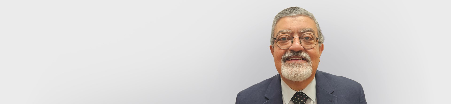 Professor Hany Habeeb